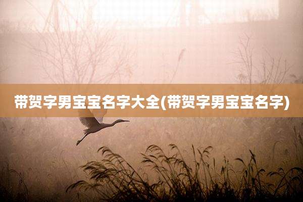 带贺字男宝宝名字大全(带贺字男宝宝名字)