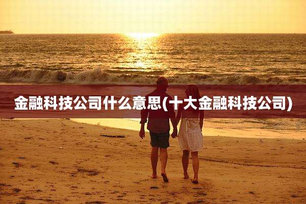 金融科技公司什么意思(十大金融科技公司)