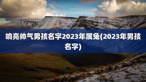响亮帅气男孩名字2023年属兔(2023年男孩名字)