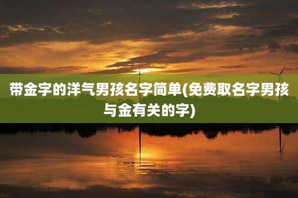 带金字的洋气男孩名字简单(免费取名字男孩与金有关的字)