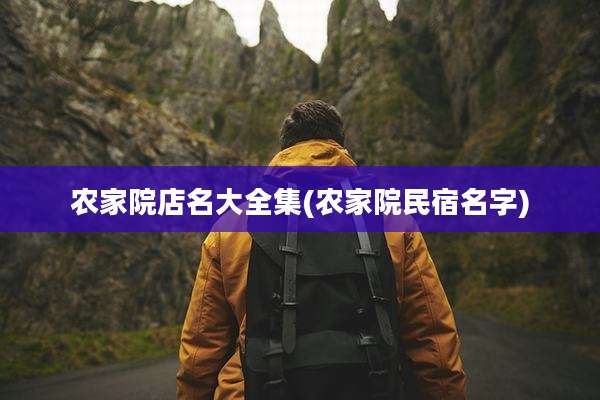 农家院店名大全集(农家院民宿名字)