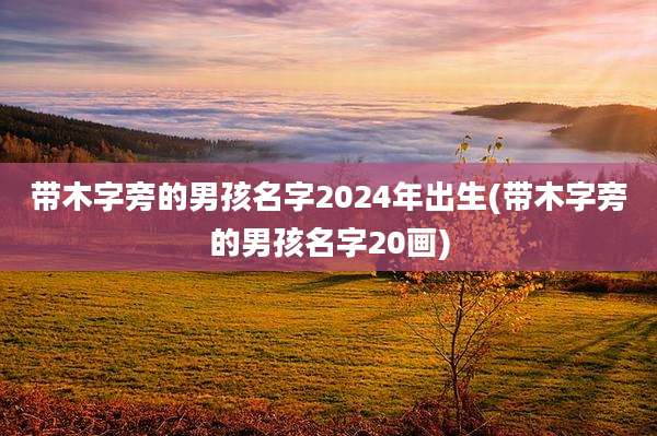 带木字旁的男孩名字2024年出生(带木字旁的男孩名字20画)