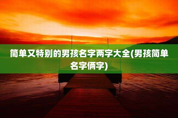 简单又特别的男孩名字两字大全(男孩简单名字俩字)