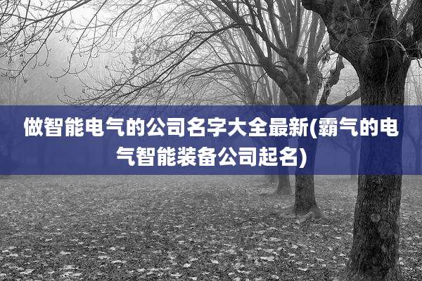 做智能电气的公司名字大全最新(霸气的电气智能装备公司起名)
