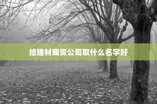 给建材商贸公司取什么名字好