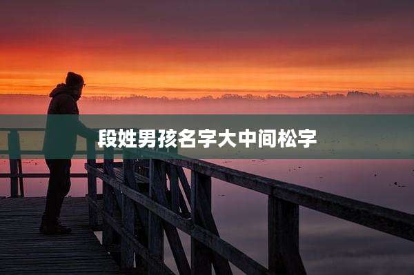 段姓男孩名字大中间松字