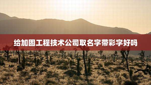 给加固工程技术公司取名字带彩字好吗