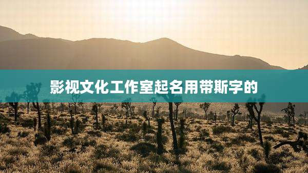影视文化工作室起名用带斯字的