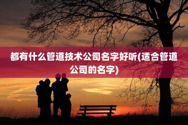 都有什么管道技术公司名字好听(适合管道公司的名字)