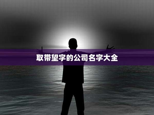 取带望字的公司名字大全