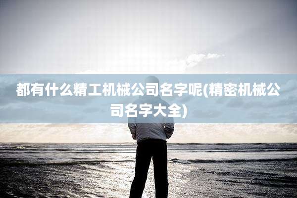 都有什么精工机械公司名字呢(精密机械公司名字大全)