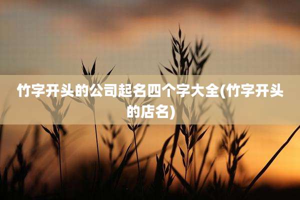 竹字开头的公司起名四个字大全(竹字开头的店名)