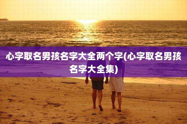 心字取名男孩名字大全两个字(心字取名男孩名字大全集)