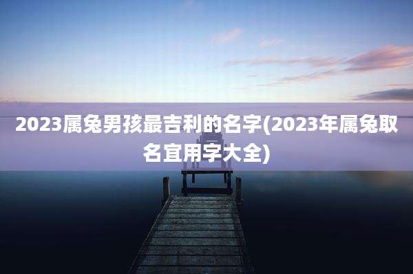 2023属兔男孩最吉利的名字(2023年属兔取名宜用字大全)