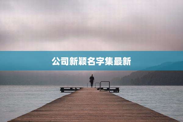 公司新颖名字集最新