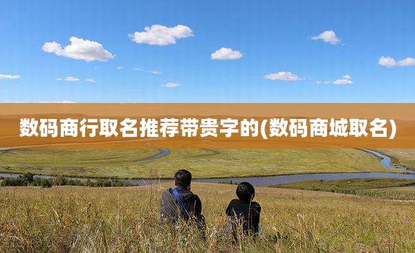 数码商行取名推荐带贵字的(数码商城取名)