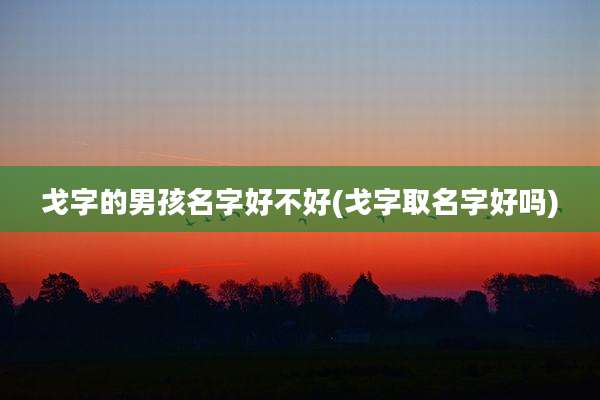 戈字的男孩名字好不好(戈字取名字好吗)