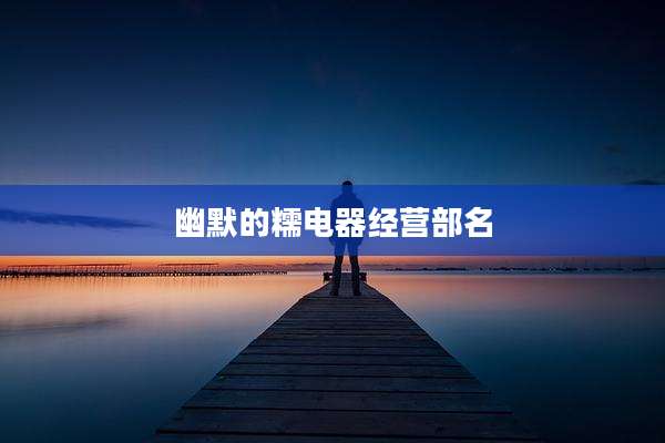 幽默的糯电器经营部名