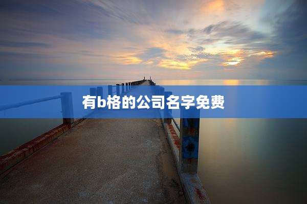 有b格的公司名字免费