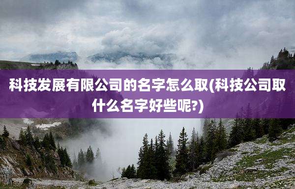科技发展有限公司的名字怎么取(科技公司取什么名字好些呢?)