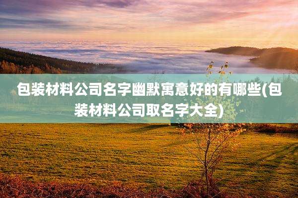 包装材料公司名字幽默寓意好的有哪些(包装材料公司取名字大全)