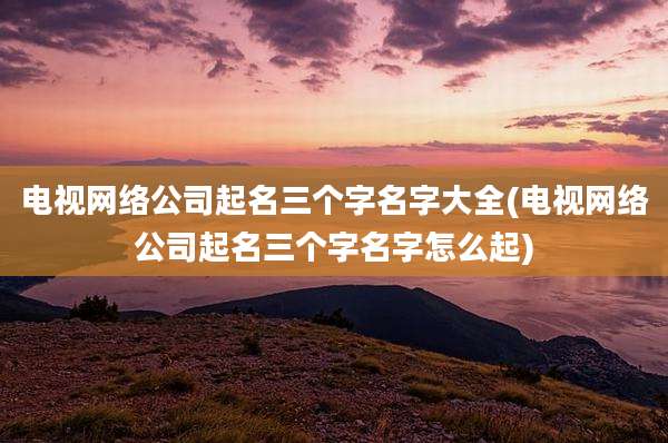 电视网络公司起名三个字名字大全(电视网络公司起名三个字名字怎么起)
