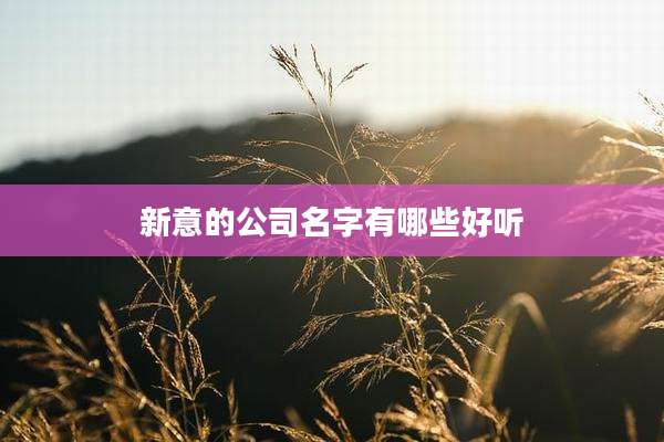 新意的公司名字有哪些好听