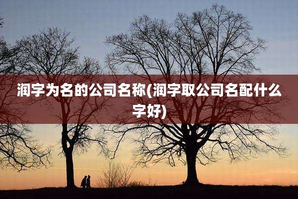 润字为名的公司名称(润字取公司名配什么字好)