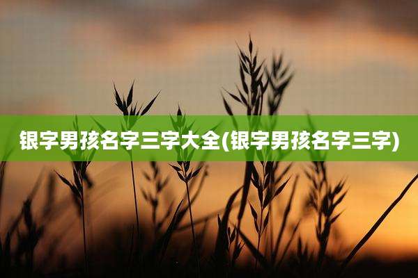 银字男孩名字三字大全(银字男孩名字三字)