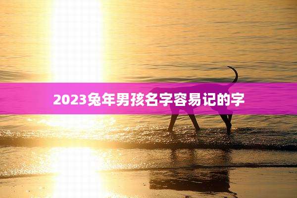 2023兔年男孩名字容易记的字