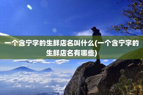 一个含宁字的生鲜店名叫什么(一个含宁字的生鲜店名有哪些)