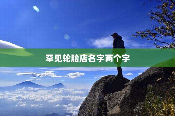 罕见轮胎店名字两个字