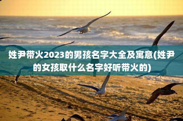 姓尹带火2023的男孩名字大全及寓意(姓尹的女孩取什么名字好听带火的)
