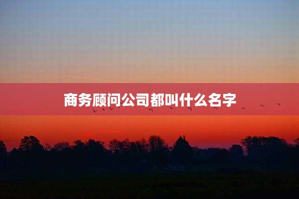 商务顾问公司都叫什么名字
