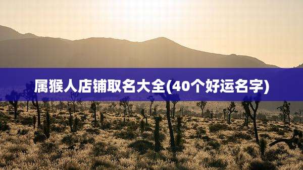 属猴人店铺取名大全(40个好运名字)