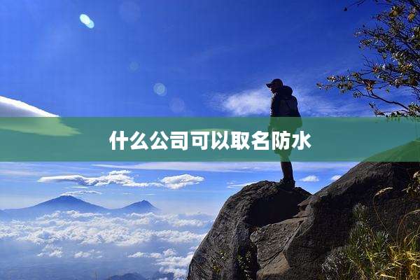 什么公司可以取名防水