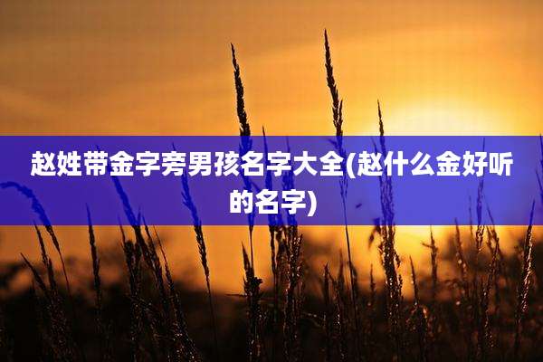 赵姓带金字旁男孩名字大全(赵什么金好听的名字)