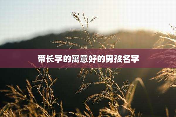 带长字的寓意好的男孩名字