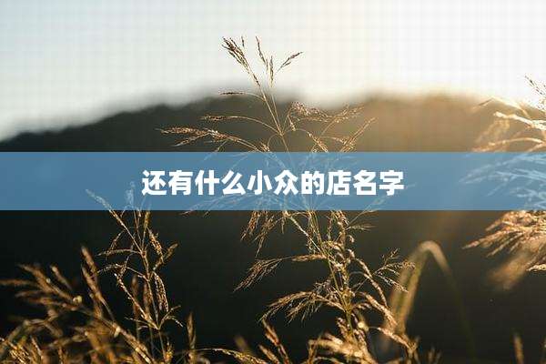 还有什么小众的店名字