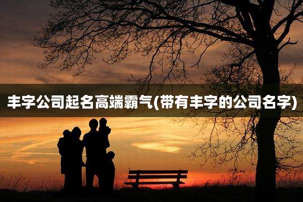 丰字公司起名高端霸气(带有丰字的公司名字)
