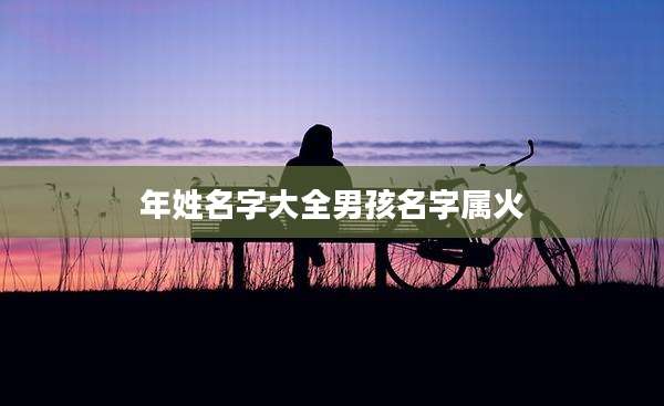 年姓名字大全男孩名字属火