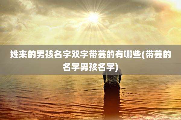 姓来的男孩名字双字带芸的有哪些(带芸的名字男孩名字)