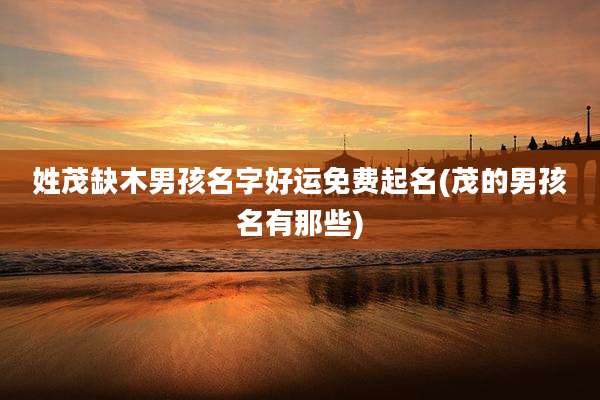 姓茂缺木男孩名字好运免费起名(茂的男孩名有那些)