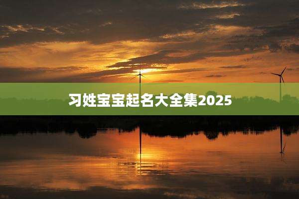 习姓宝宝起名大全集2025