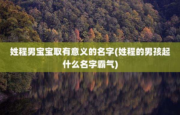 姓程男宝宝取有意义的名字(姓程的男孩起什么名字霸气)
