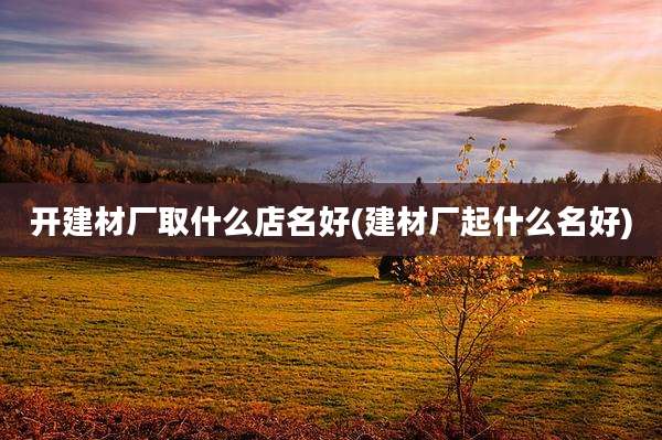 开建材厂取什么店名好(建材厂起什么名好)