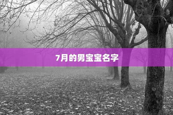 7月的男宝宝名字