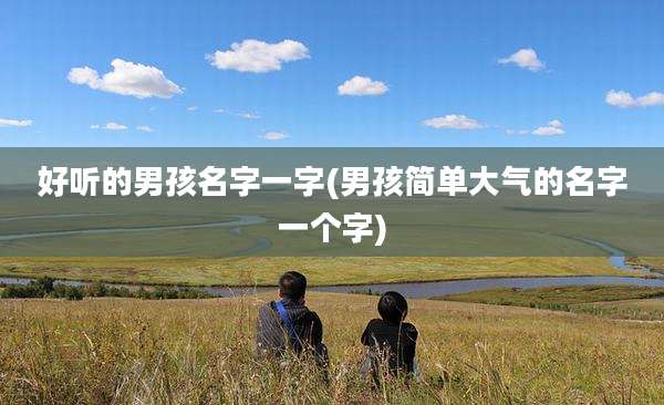 好听的男孩名字一字(男孩简单大气的名字一个字)