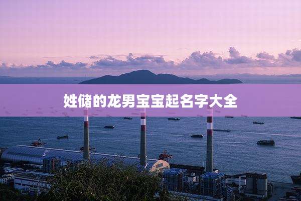 姓储的龙男宝宝起名字大全