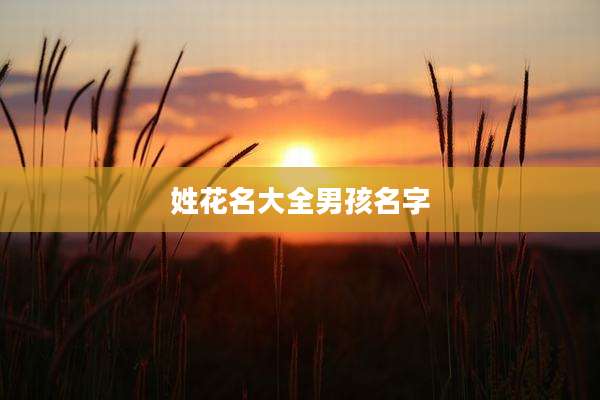 姓花名大全男孩名字